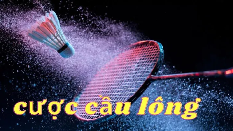 Hướng Dẫn Chi Tiết Cách Chơi Cá Cược Cầu Lông Hiệu Quả Tại Nohu90
