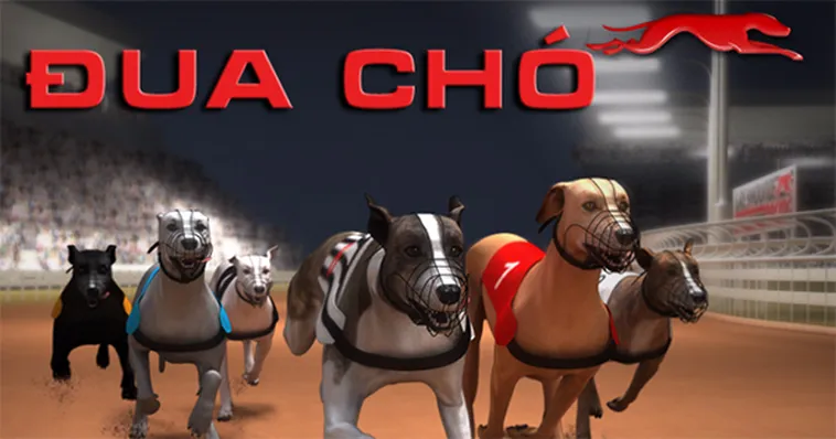Hướng Dẫn Cách Chơi Game Nhanh Đua Chó Đỉnh Cao Và Hiệu Quả Tại Nohu90