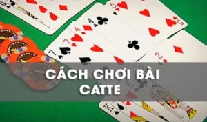 Cách Chơi Sắc Tê Nhà Cái Nohu90 Chi Tiết Cho Người Mới Và Cao Thủ