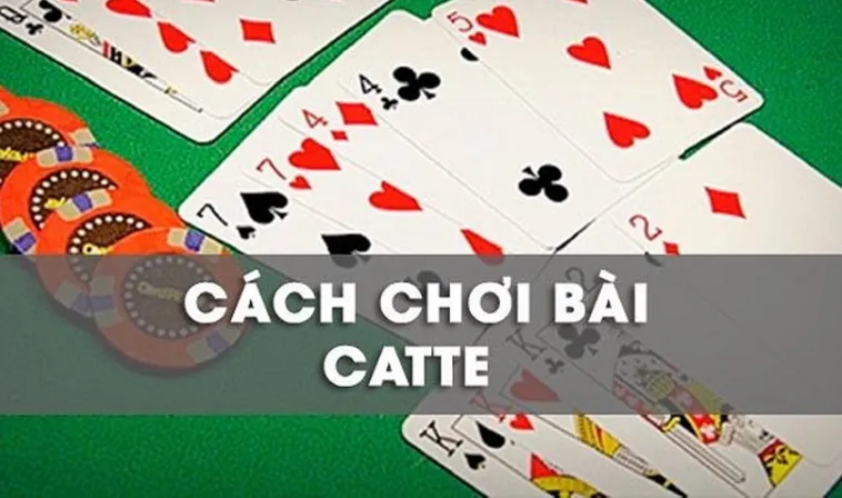 Cách Chơi Sắc Tê Nhà Cái Nohu90 Chi Tiết Cho Người Mới Và Cao Thủ